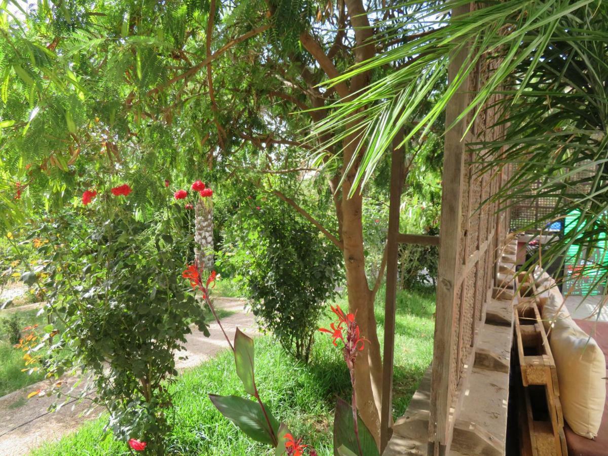 Ibis Tlemcen Hotel Exterior foto